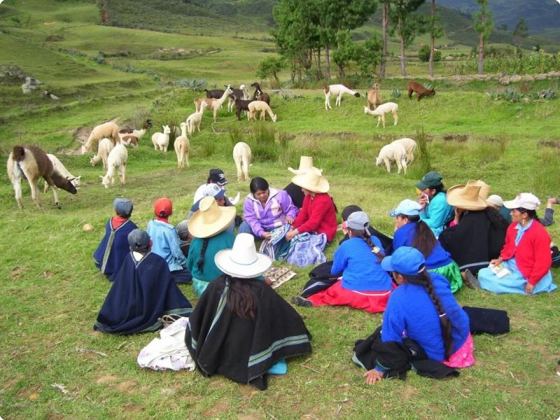 imas-peru-1.jpg
