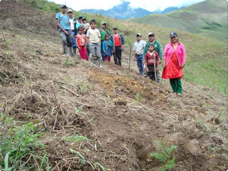 imas-peru-16.jpg