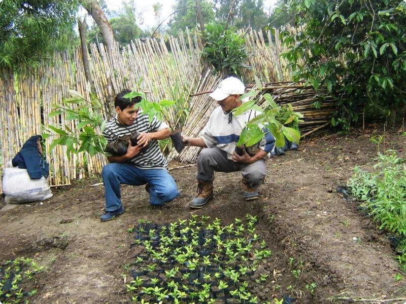 imas-peru-17.jpg