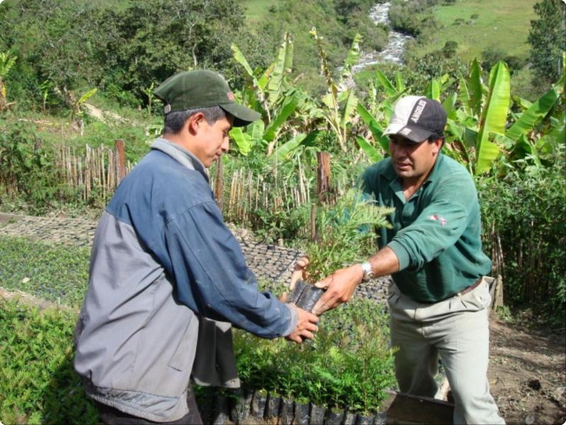 imas-peru-19.jpg