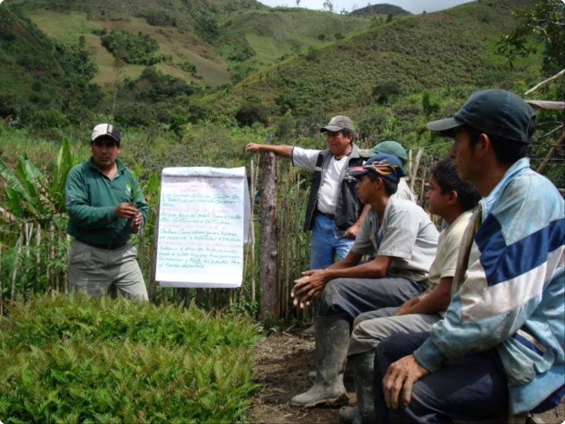 imas-peru-20.jpg